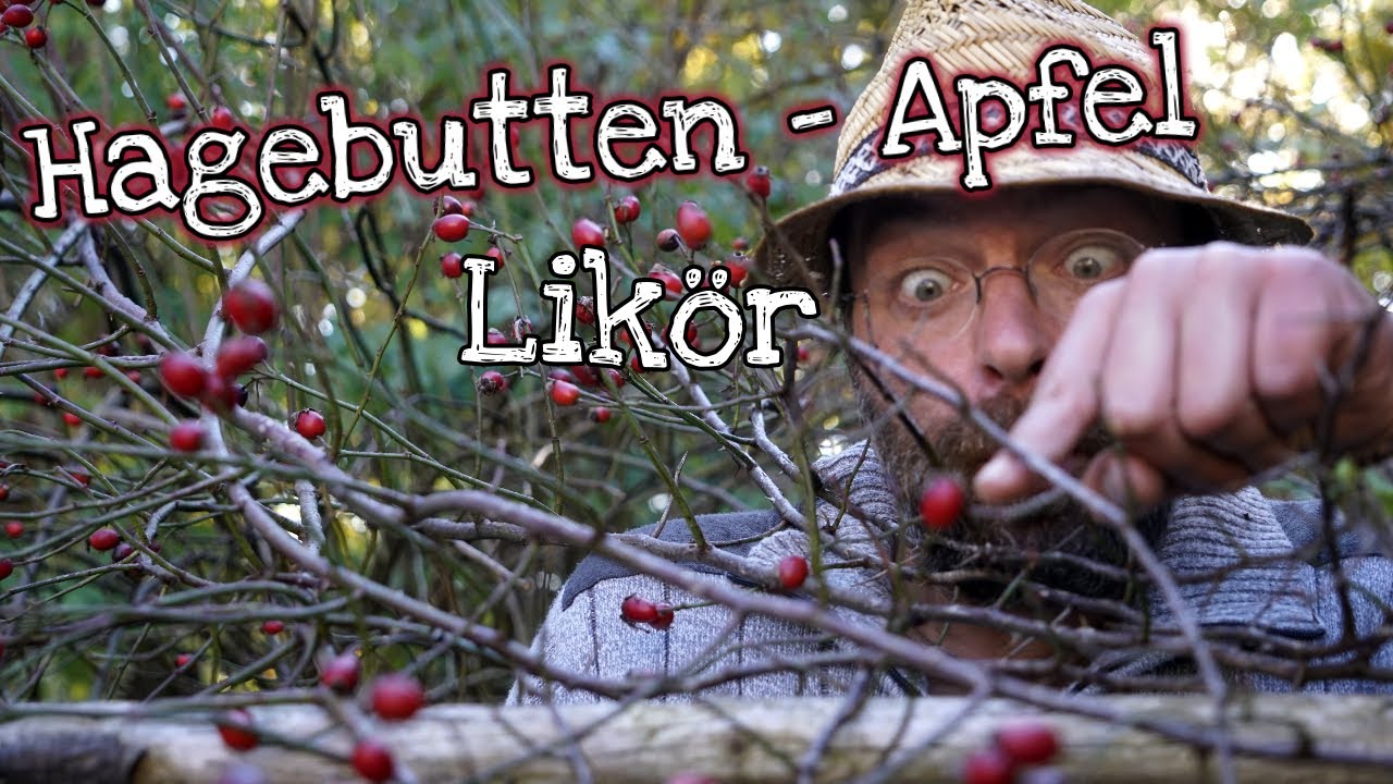 Hagebutten Likör mit Apfel selbst gemacht - YouTube Hagebutten Likör mit Apfel selbst gemacht - YouTube