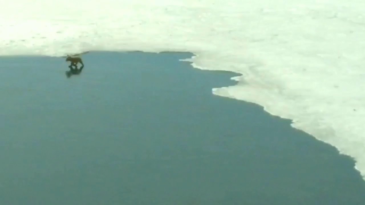 Lake living in Plymouth Minnesota