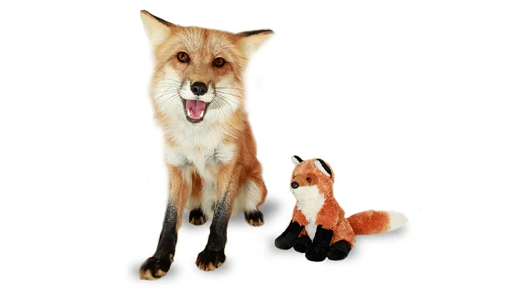 Forrest the Fox Stuffed Animal