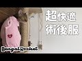 【術後服】着心地抜群‼︎猫の術後にオススメ‼︎【ベンガルロケット】