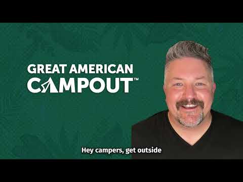 David Mizejewski: Buzz Off