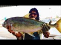 Huge Trevally Fish Cutting | Fish Cutting Skills Sri Lanka