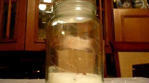 e-Jar of Fireflies / Słój świetlików