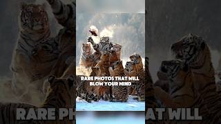 Famous Rare Photos You've Probably Never Seen Before (Part 183) Net Worth