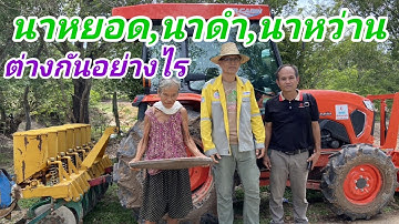 นาหยอด|นาดำ|นาหว่านข้อดีข้อเสียต่างกันอย่างไร #นาหยอด #นาดำ #นาหว่าน