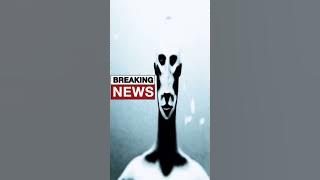 Trekkrrholymountain · Scissorhands (geeked vs locked in song)