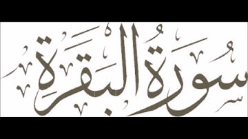 Surah Al-Baqara Pashto Lafzi Tarjuma By Mufti Mashhood Ruku 16 of 40 سورة البقرة