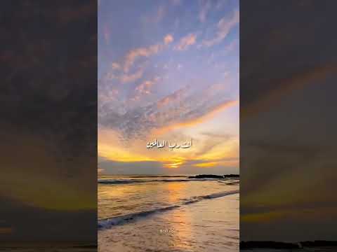 اللهم إني أشكو إليك ضعف قوتي الشيخ بدر المشاري