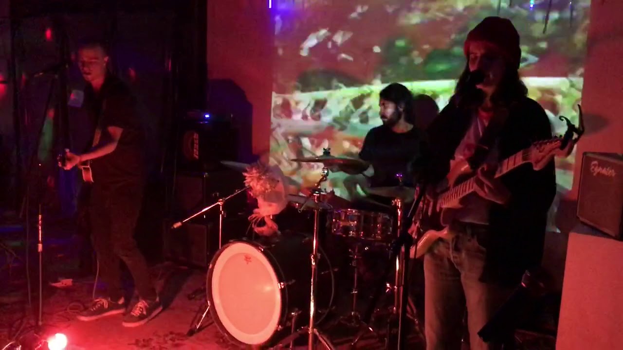 Plaster Sun - Sarah Coolidge Live at the Dildo Factory 3/1/2019