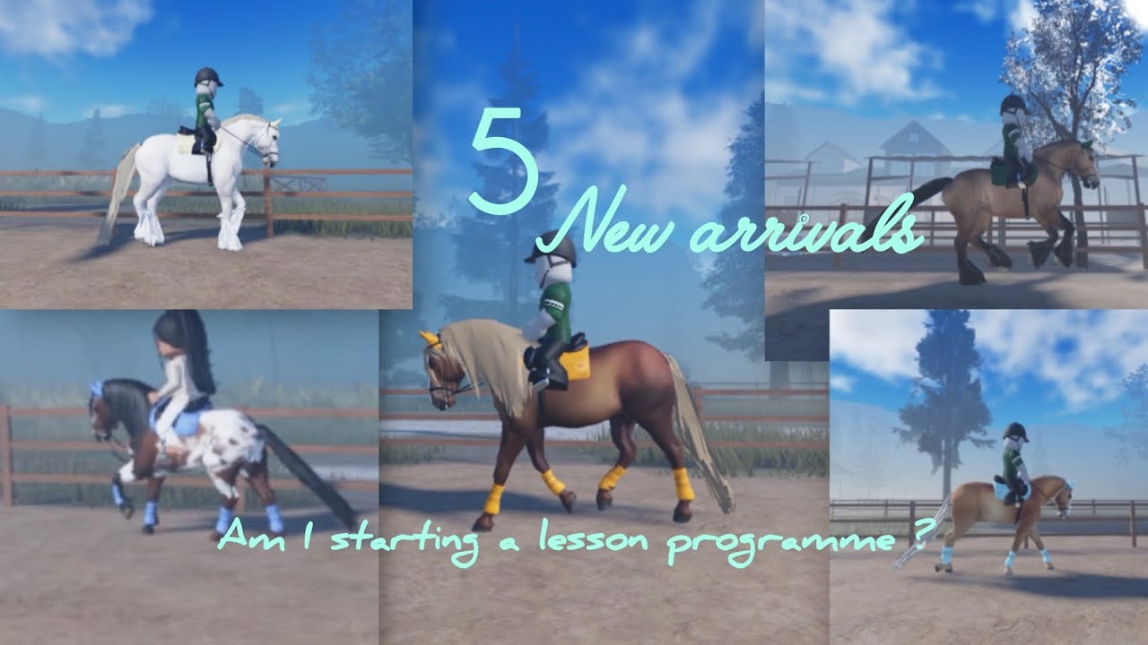 5 new arrivals! Am I starting a lesson programme? |Strideway RRP| EquestRyan|