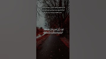 اكتشف نعمة السكينة والهدوء من خلال تلاوة القرآن الكريم #راحة_نفسية #القرآن_الكريم  #المصحف