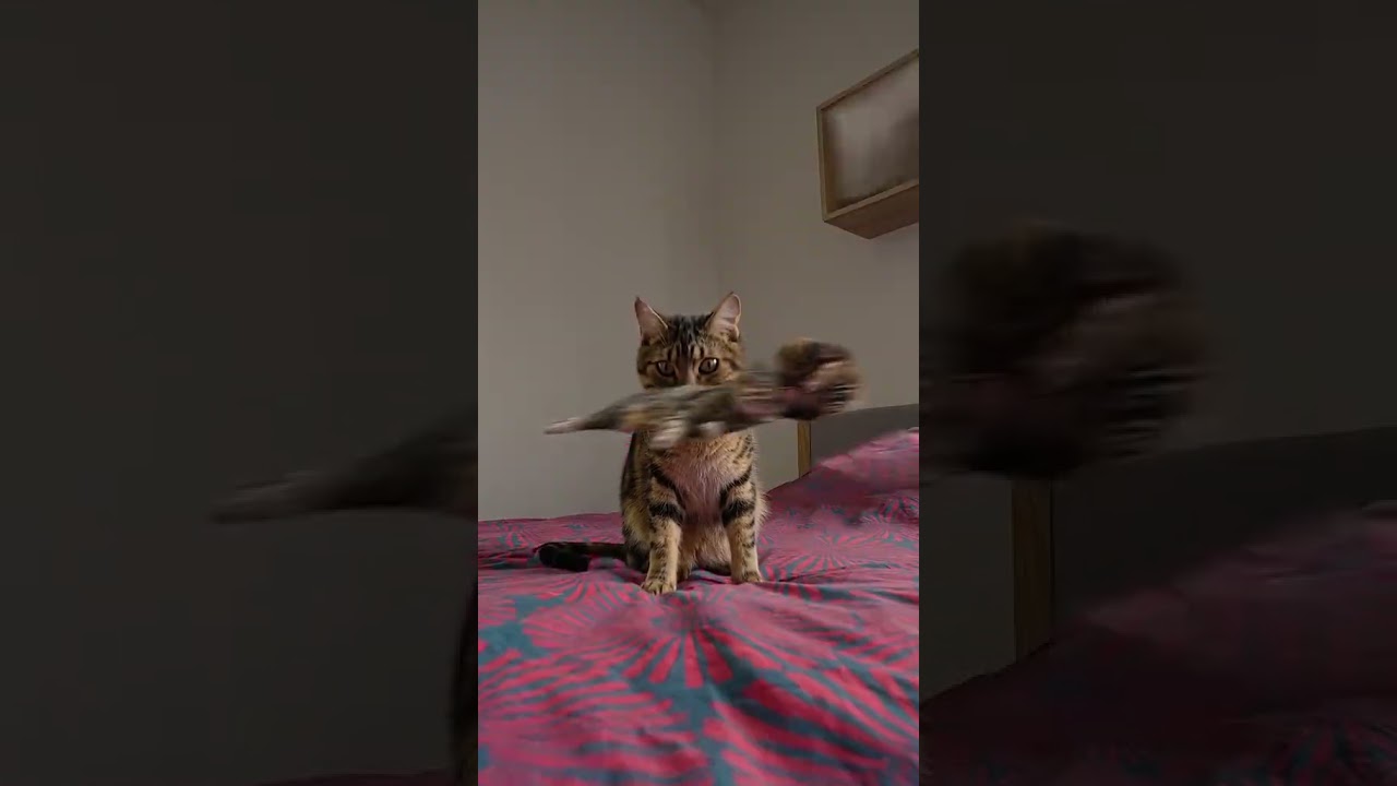 someone please make a tutorial for this Dope video SC: tik tok @quentin.fx1 ,