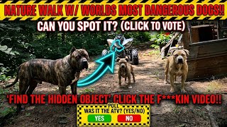 Vlog #327 TAKING THE WORLD’S MOST DANGEROUS DOGS ON A NATURE WALK!!