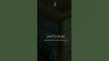 سورة النمل | القارئ : #عبدالرحمن_مسعد #quran #راحة_نفسية #viral #foryou #اجر_لي_ولكم 🤍.