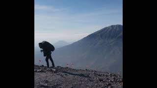 Live Stream Tjahyo Setiyo