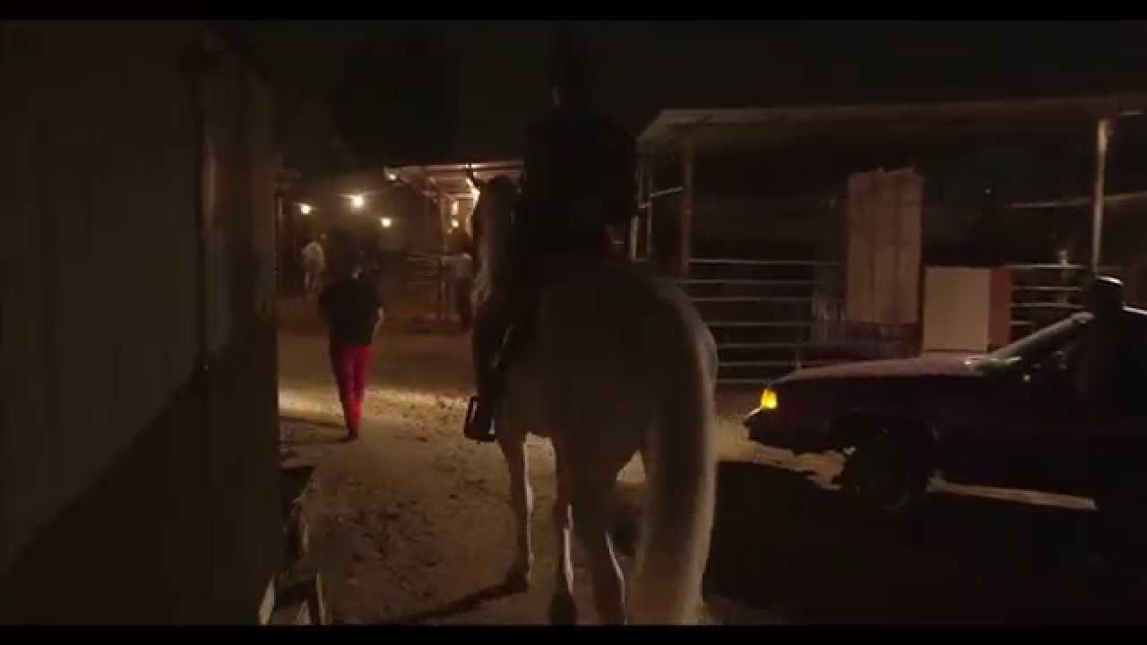 THE MIDNIGHT MOAN - What I Need [Official Music Video]