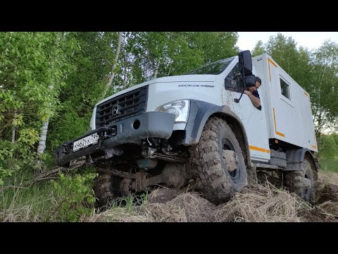 Садко Некст на