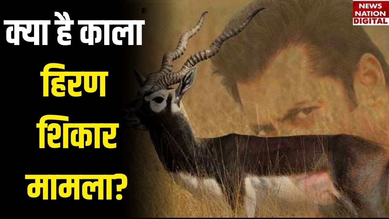 Salman Khan s Black Buck Case What Is The Full Story Why Are Stars Salman Khan s Black Buck Case What Is The Full Story Why Are Stars