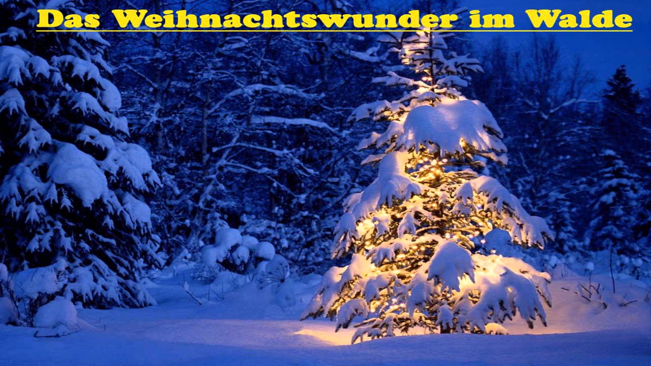 Weihnachtswunder Weihnachtswunder