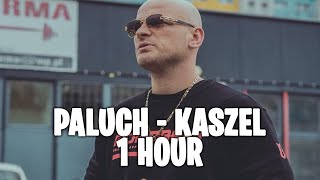 Paluch - Kaszel [1 HOUR]