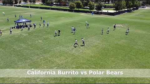 California Burrito vs Polar Bears | Select Flight ...