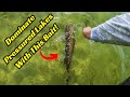 This swimbait is the solution to ultra pressured lakes bass cant resist them