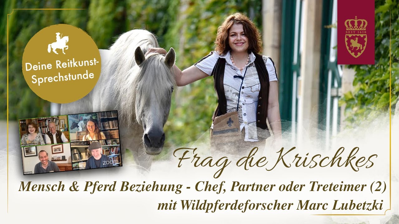 Teil 2: Mensch & Pferd Beziehung -Chef, Partner oder Treteimer -Frag die Krischkes mit Marc Lubetzki