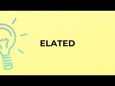 What is the meaning of the word ELATED?