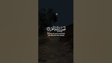 تلاوة هادئة تريح الأعصاب 😴🎧 | القارئ : عبد الرحمن مسعد- سورة : الكوثر 🤍🌥️."