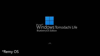 Never Released Operating Systems 312