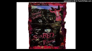 Ariel Pink Scared Famous side 1