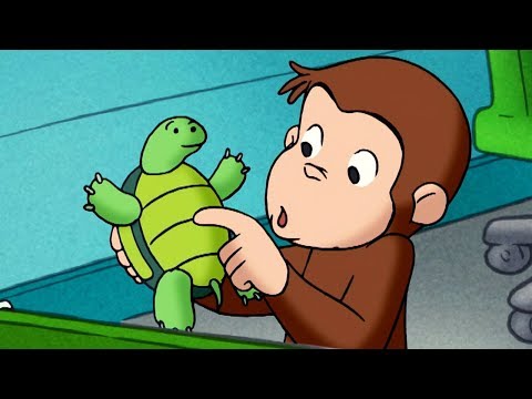 George O Curioso ? Macaco Convidado ?Episódio Completo ? Desenhos Animados