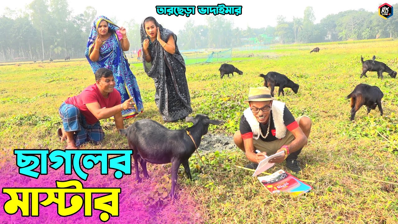 Android uchun Pussy House 2 porno (yangi)