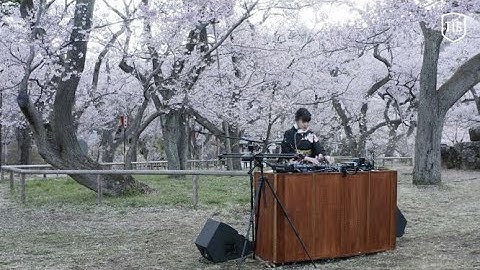 【Official】Sakura 4K Short PV【ZEKKEI × Music】YonYon | Takato Castle Site Park
