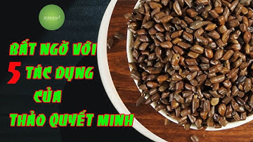 Bất ngờ với 5 tác dụng của Thảo quyết minh trong y học cổ truyền