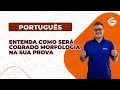 Português para Concursos: Entenda Como Será Cobrado Morfologia na sua Prova