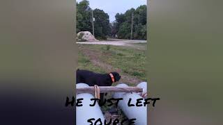 Max tracking down cadaver source