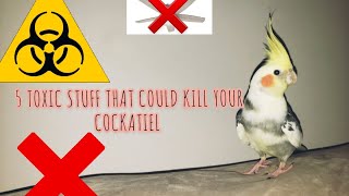 ⚠️5 COMMON TOXIC HOUSEHOLD STUFF THAT CAN KILL UR BIRD⚠️