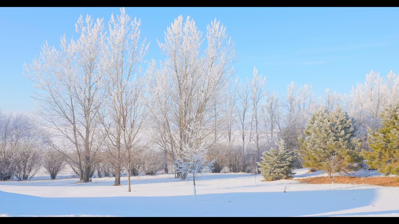 STATIC STATE - NATURE 013