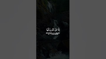 قال ابن باز رحمه الله المستمع للقرآن شريك القارئ "في كل حــرف حسنــةوالحسنة بعشـــر أمثالهـا