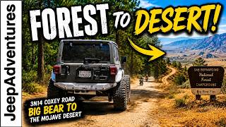 From the Mojave Desert to Big Bear on One Incredible Trail | 3N14 Coxey Road