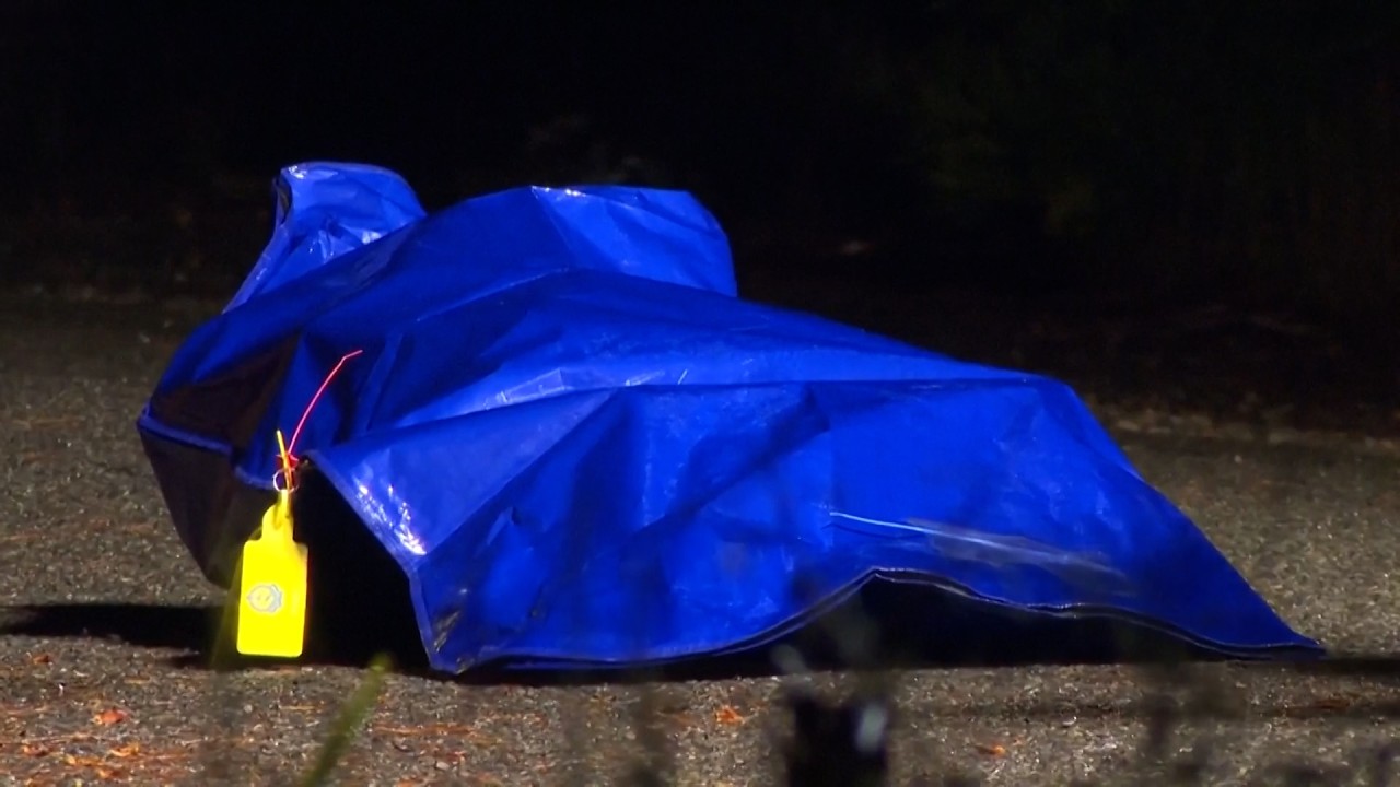 Investigators In Australia Say Human Remains Turned Out To Be Lifelike Doll