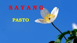 SAYANG Pasto Lirik