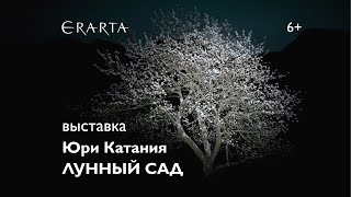 «Юри Катания. Лунный сад». Выставка в музее Эрарта