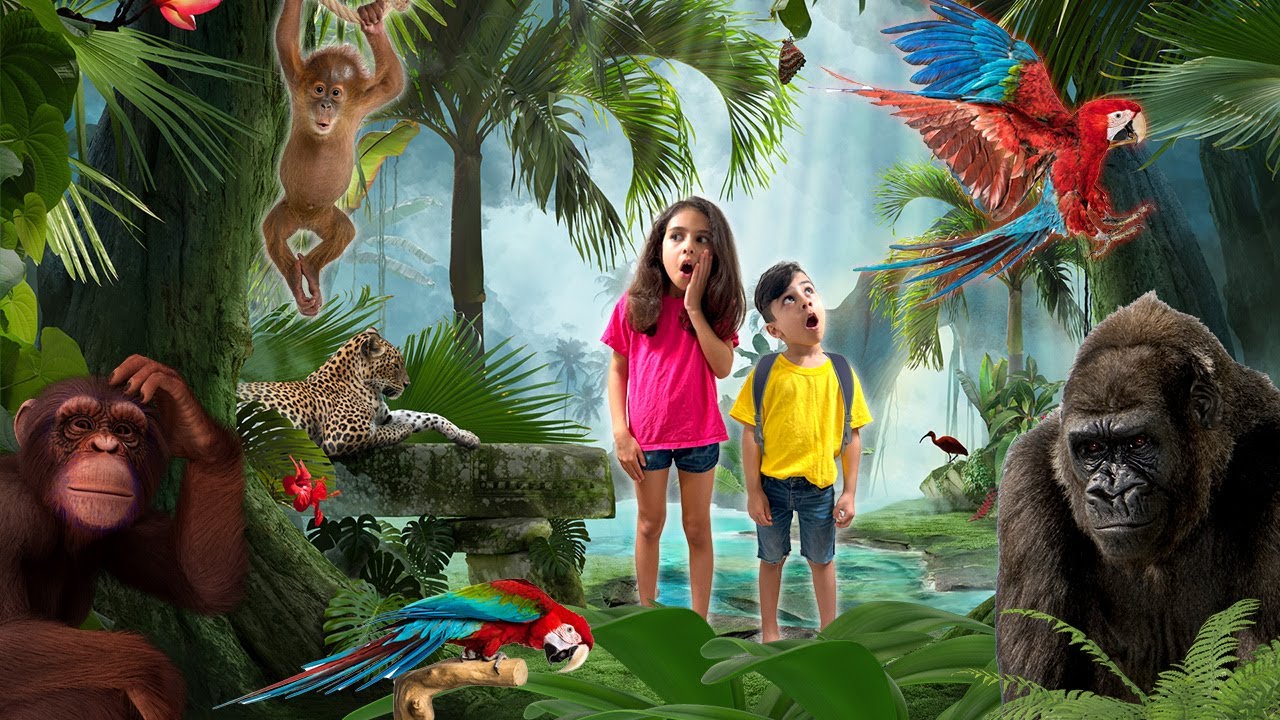Tropical Wild Animals for Kids | Educational video | Atrin and Soren's Rainforest Animal Adventure
