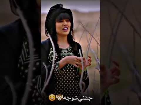 ستوري جقتني شوجه