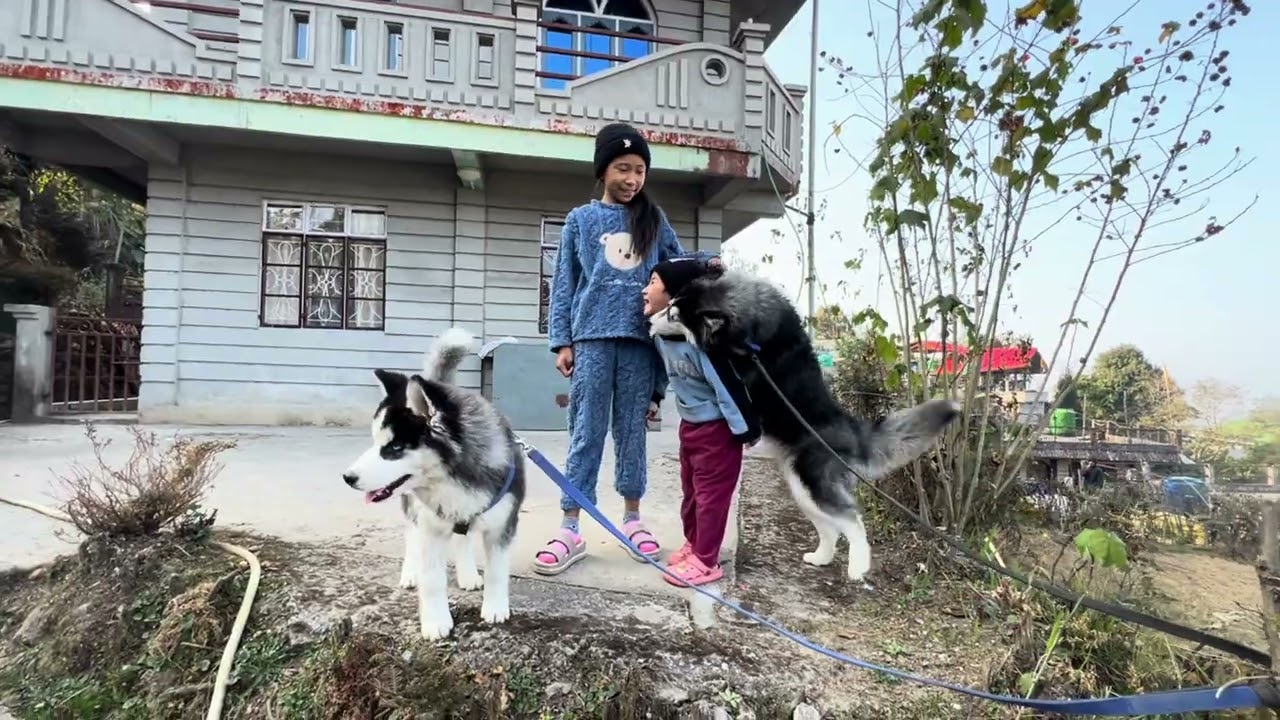 Visit to Betterbari village Sonada.