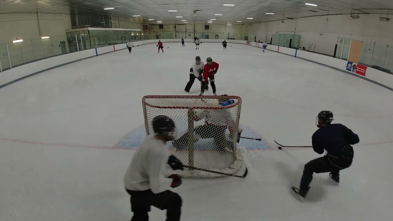 DJI 0563 005 Oriole Shinny Dark shooting 11 Feb 2026 Part 5/5