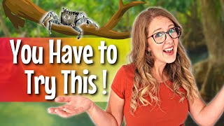 Try This Fun Excursion in Sarasota Florida | Siesta Key Vacation Pt4 - Mangroves