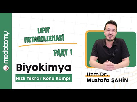 8 1 Lipit Metabolizması